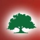 Training Tree Academy