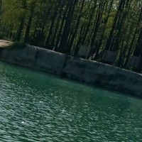 Діана Демчук