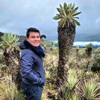 Johan David Londoño Mora