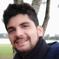 Leandro Henrique Melo de Carvalho