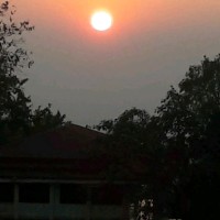 Md Shamim Hossain