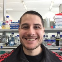 Lucas Tafur Petrozzi