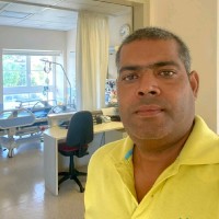 Ravi Bali