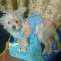 Jaki Lazaro Vilchez