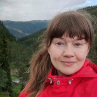 Sini Koivisto