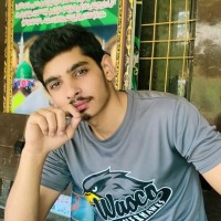 Muhammad Hamza Shahid Shahid Nazir