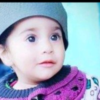 Mushtaql Ahmad Dar
