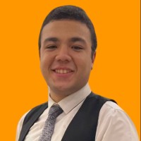 Mohamed Shafei