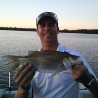 Mike husar