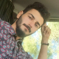 Roy Barzam