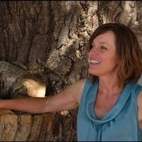 Jodi Hedderig