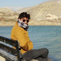 krishna gaire