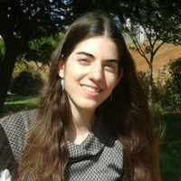 Sapir Erlich