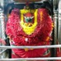 Ujjwal Dwivedi