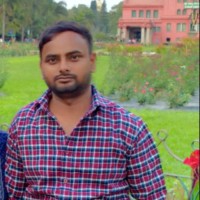 Dilip Ray