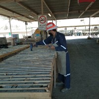 Nibaldo Francisco Mercado Araya