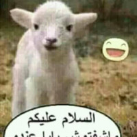 Mofaddal EL Mekkaoui