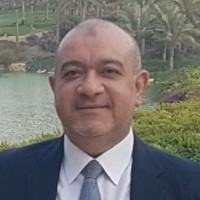 Emad Elsafty
