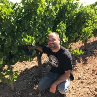 JOSÉ RAMÓN AZNAR BONEL