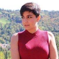 Parisa Baseremanesh