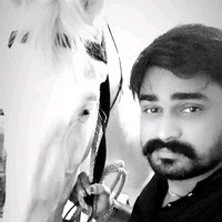 Faiz Rizvi