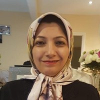 Nassrin Baghban
