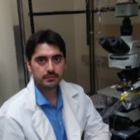Roberto De Luca