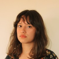 Fernanda Bocchi