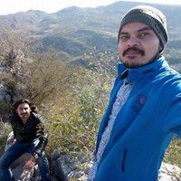 Waqas Mehmood