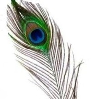 Deep Shikha