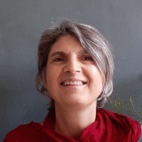 Sonia A S Teixeira