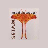 SETAM GROUP
