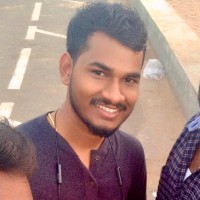 Viknesh B