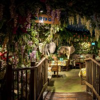 Marketing at Jungle Cave