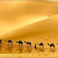 Abderrahmane Layati
