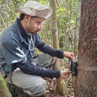 David Andrade Barbosa