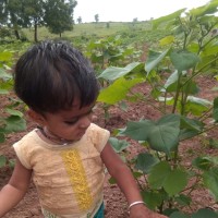 Anil Atmaram Jogdand