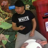 胡珍杰