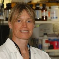 Marjan Huizing, Ph.D.
