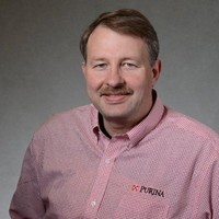 Steve H