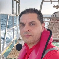 Mohammed Elsayed