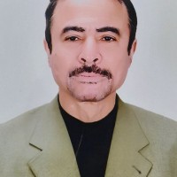 Abdelalem Mohamed,Nebosh,Osha,Iosh