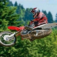 Matt Nuciforo