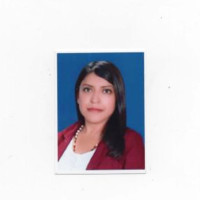 Lady Cristina Guerra Muñoz