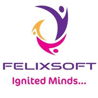 Felixsoft Consultancy