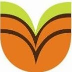 Hlunga Consulting