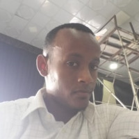 Eng Mohamed Amen Mose