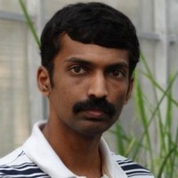 Bipin Kumar