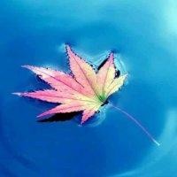 叶添峰