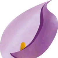 SpringAlways Preserved and Fresh Cut Flowers